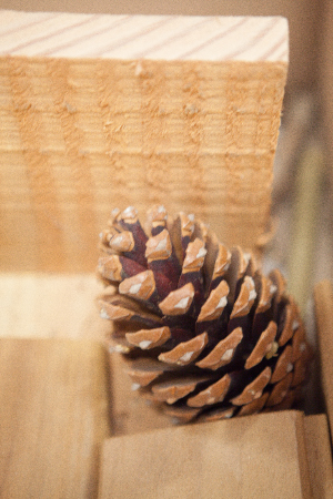 S'inscrire à la newsletter ETS Gilbert